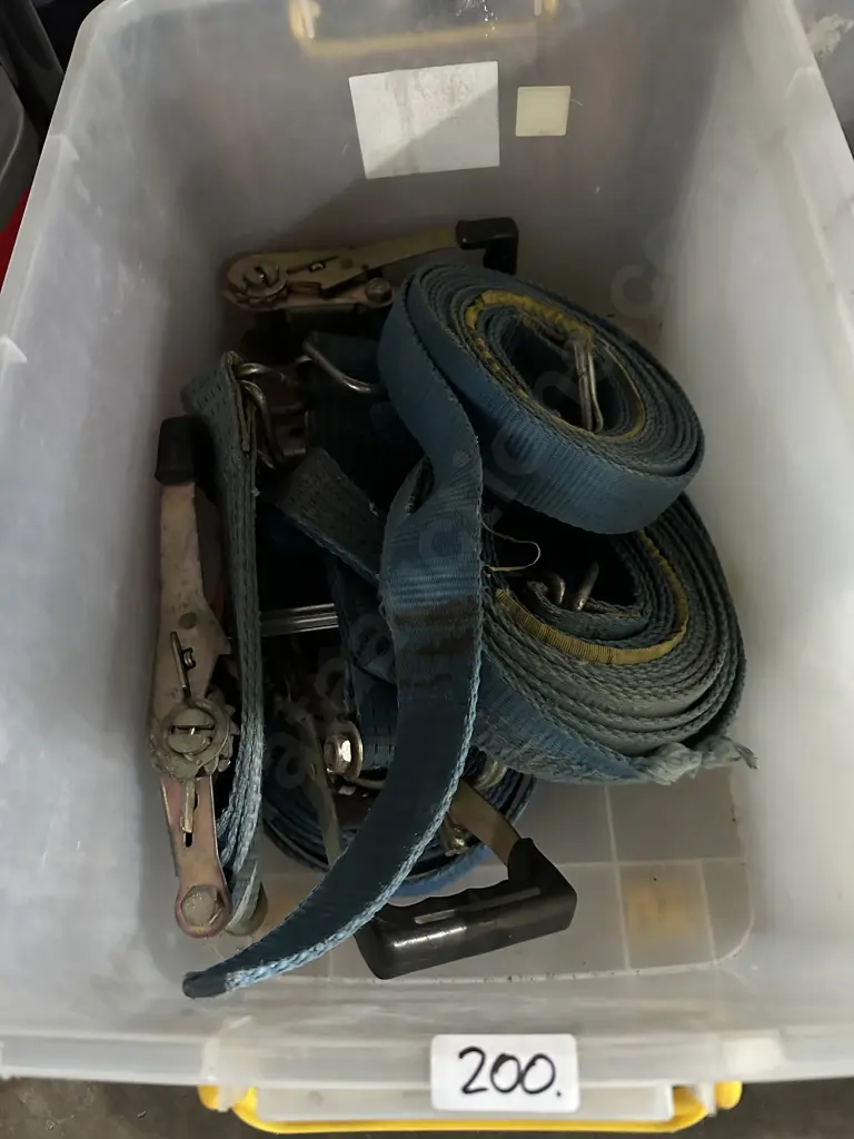 bin strops Image 1++