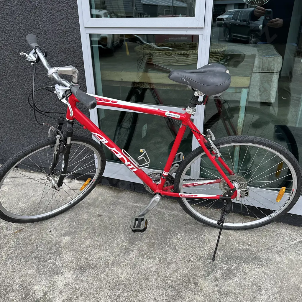 Large Avanti bike Image 1++