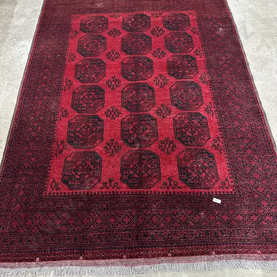 Elephant foot rug 2920 x 2000