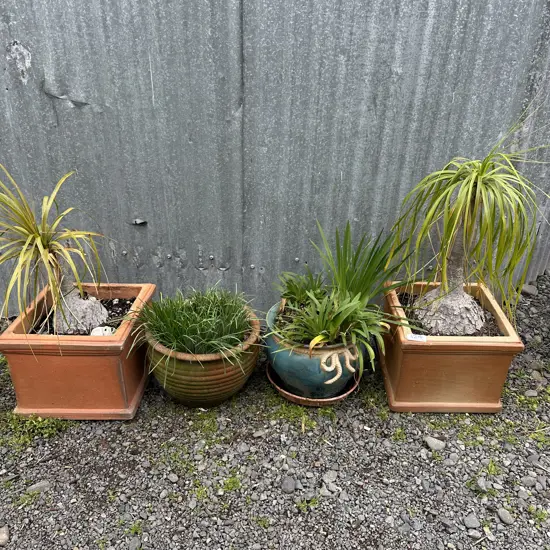 4 planters