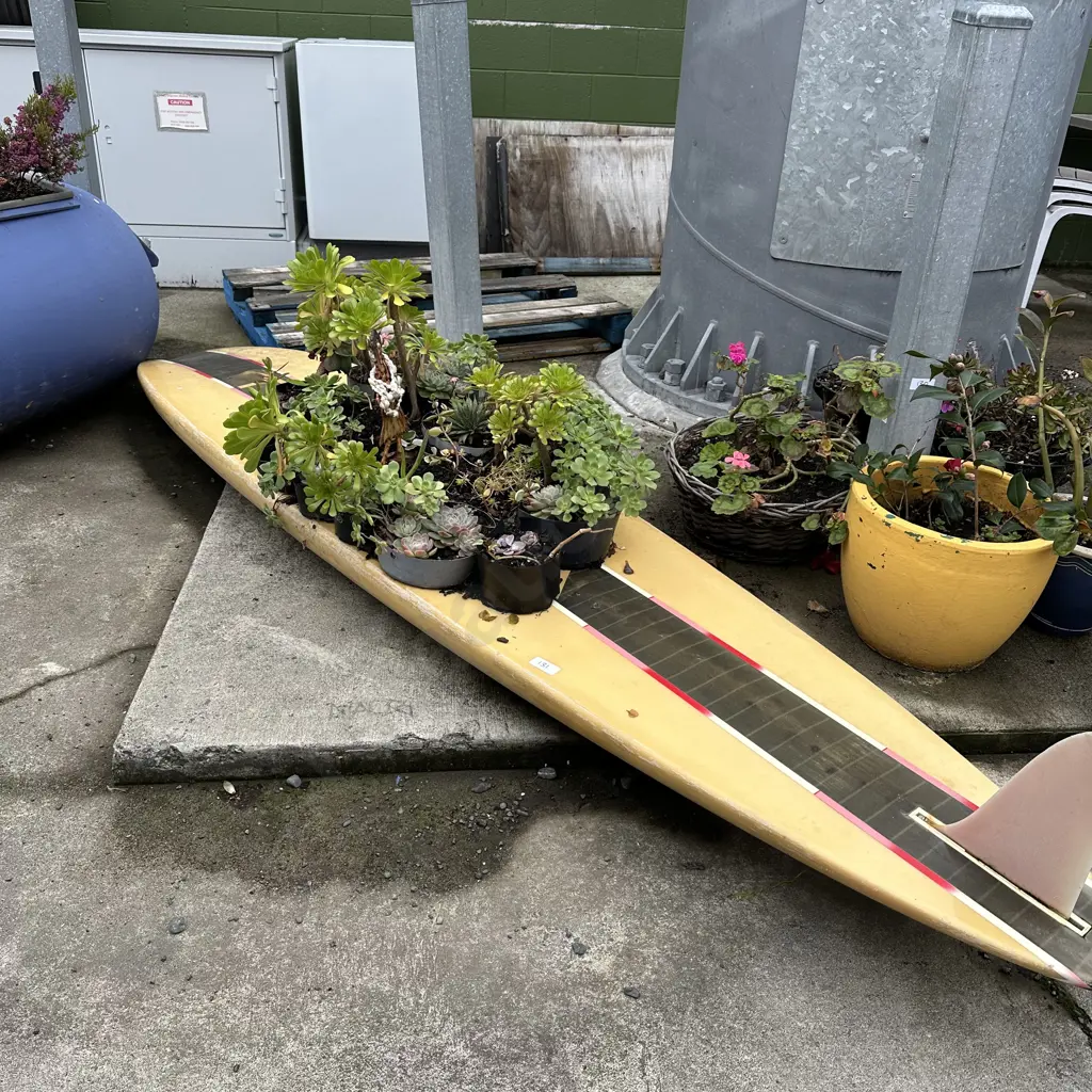 Windsurfer garden art Image 1++