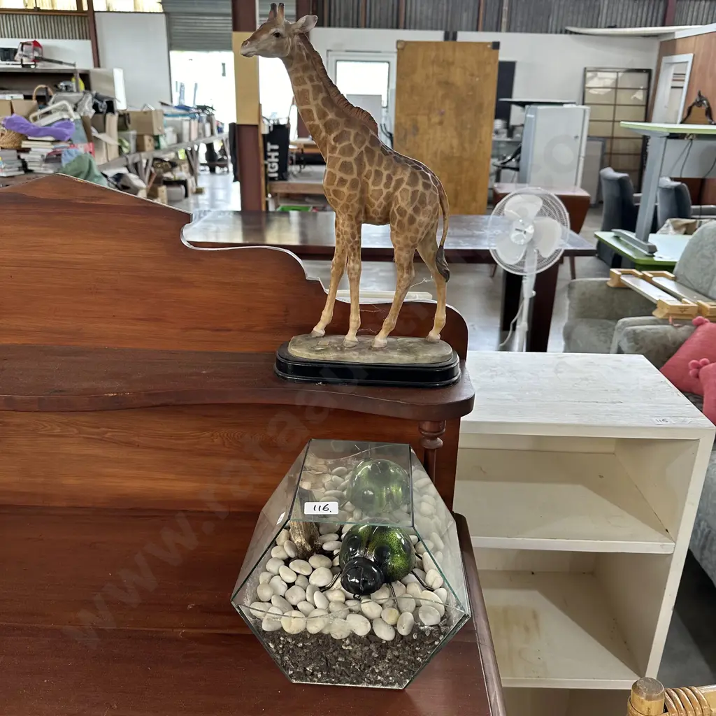 Ladybug and Giraffe Image 1++
