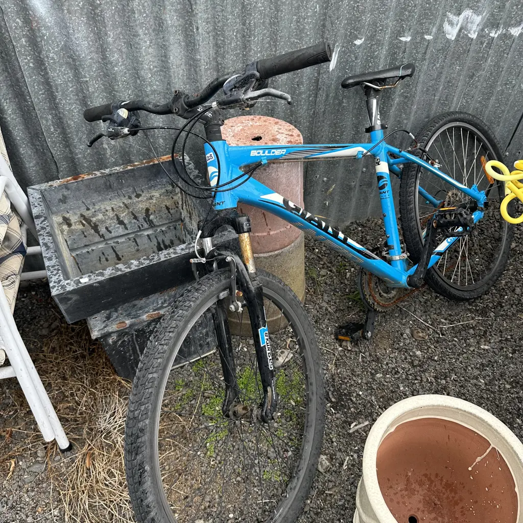Bike- needs new back tyre and wof Image 1++