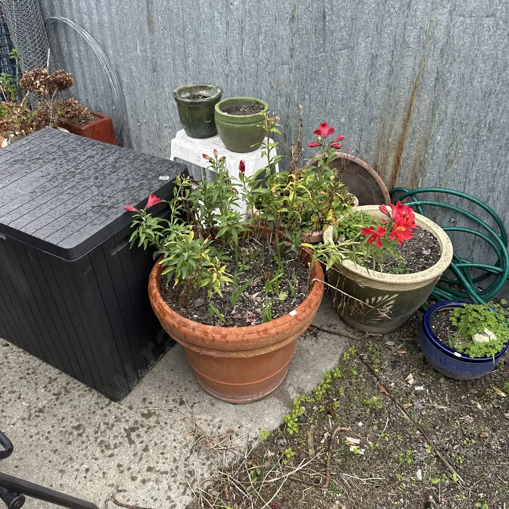 Large lot of planters, hose and bin (cracked lid) plus step Image 1++