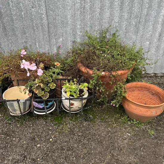 planters