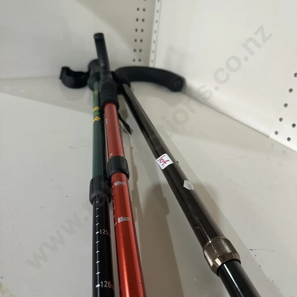 2 hiking sticks plus walking stick Image 1++