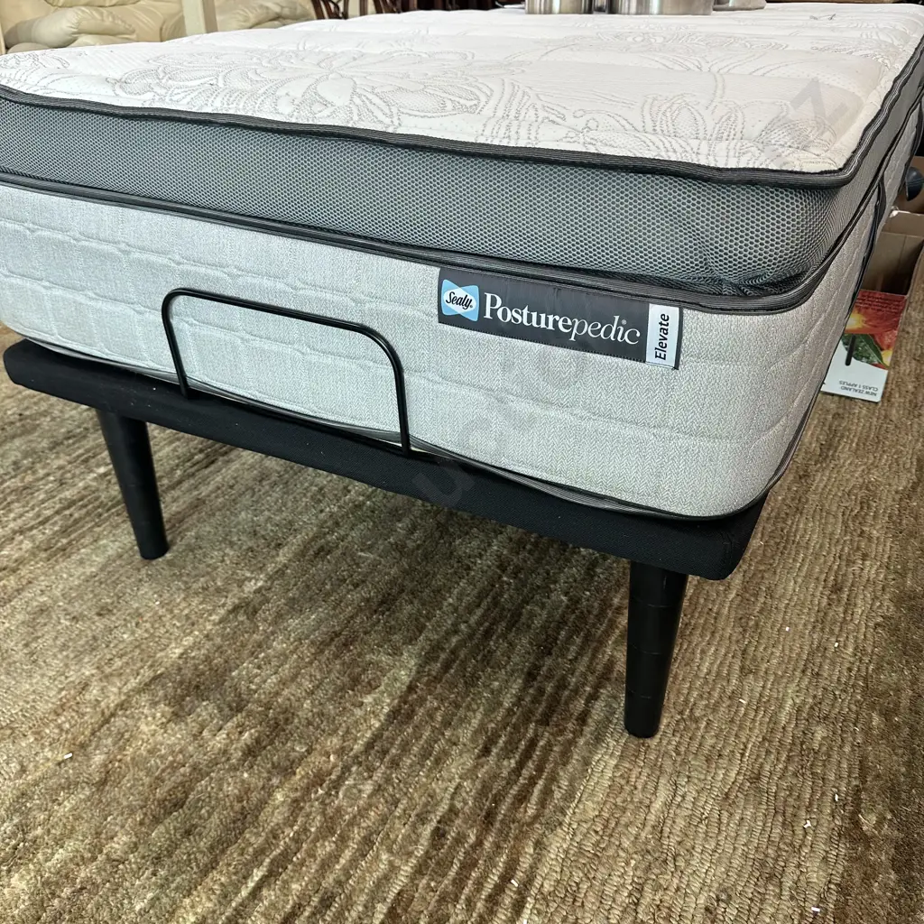EASE electric bed purchased Dec 2024 cost $3300 Image 1++