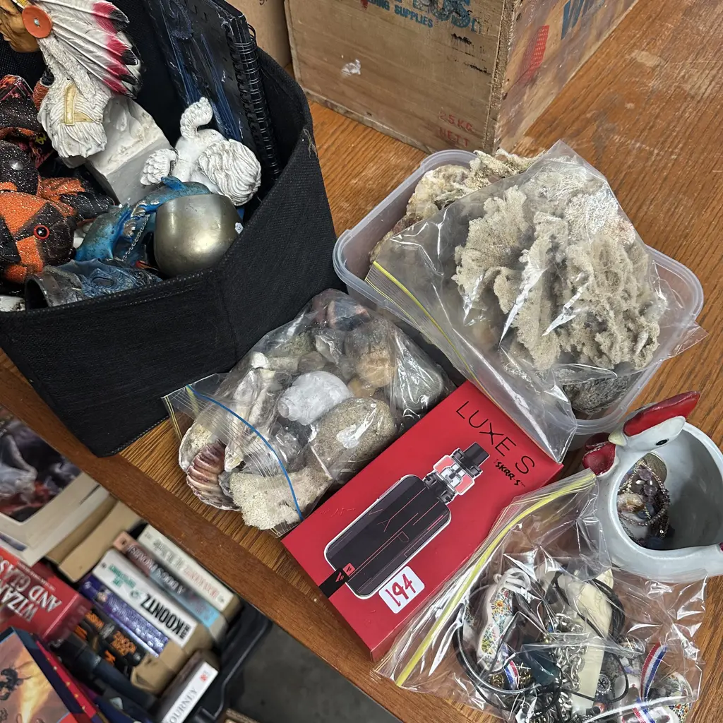 Costume jewellery and shells etc Image 1++