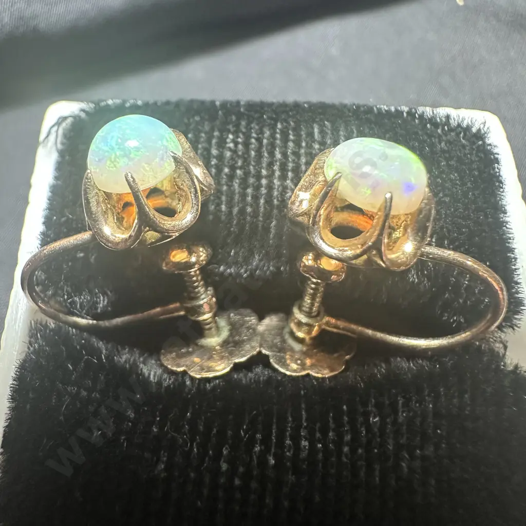 Pr Opal earings (not case) Image 1++