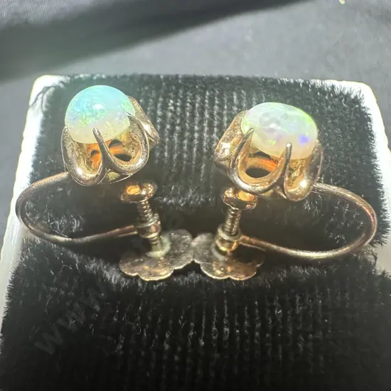 Pr Opal earings (not case)