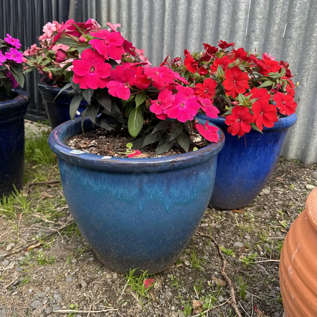 Pr of large pots and flowers Image 1++