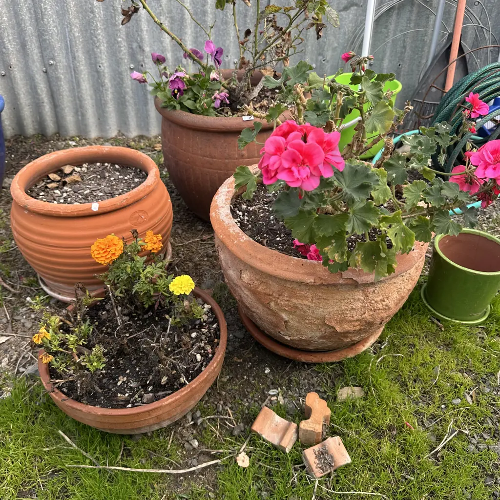 Terracotta pots Image 1++