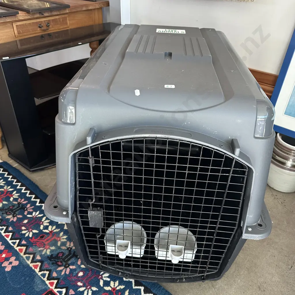 Large dog cage certified for international travel Image 1++