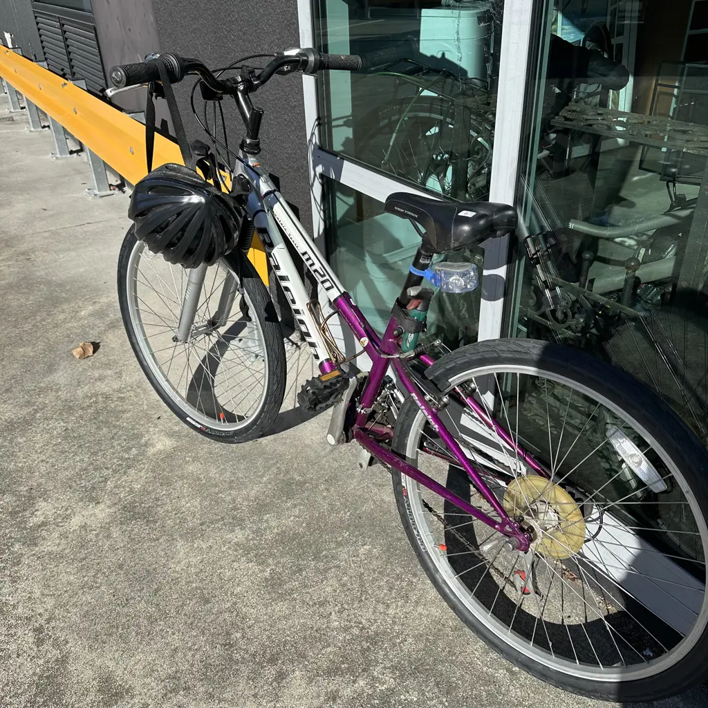 Raleigh bike Image 1++