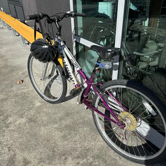 Raleigh bike