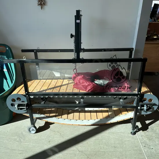 Doggy treadmill