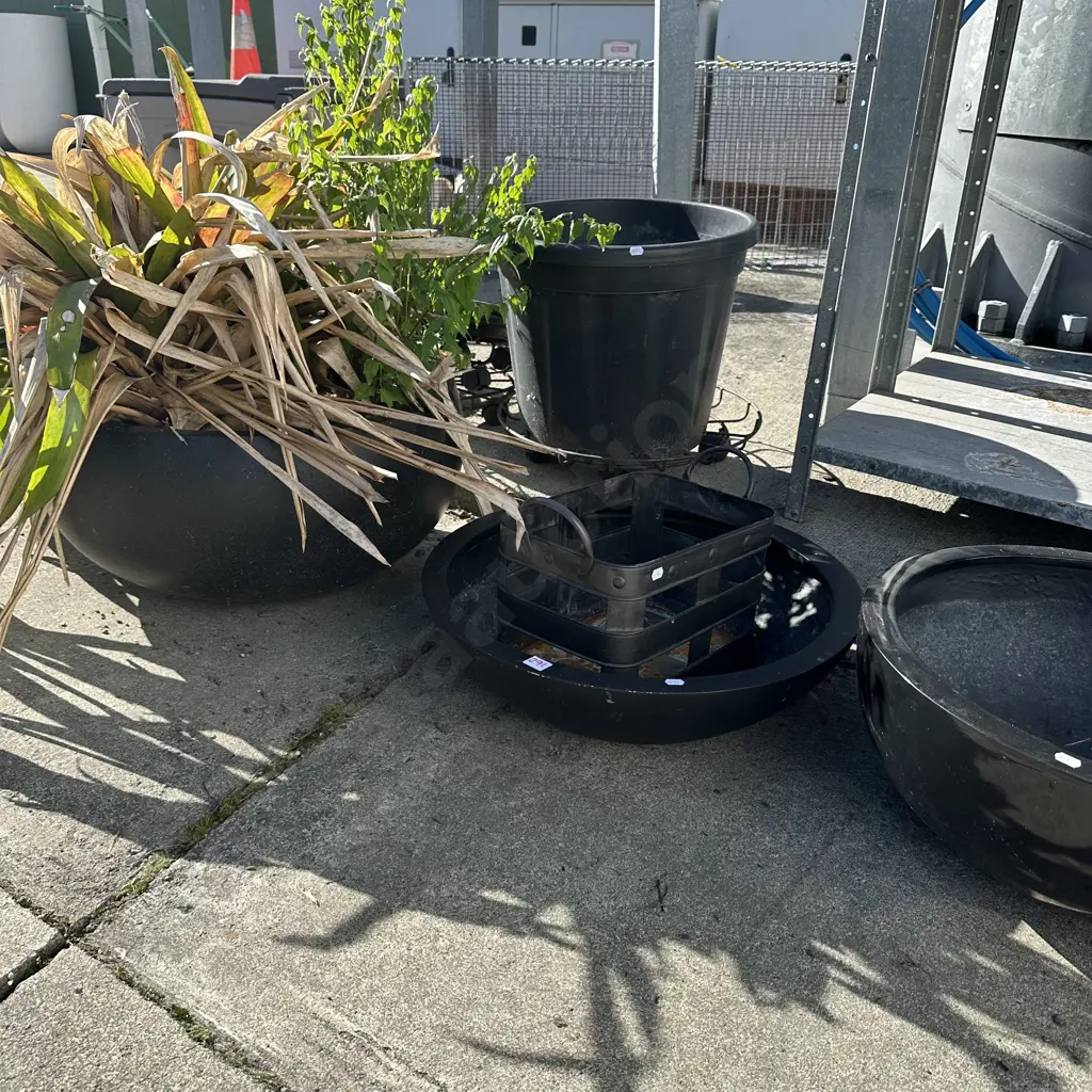 Potted plant plus asst pots Image 1++