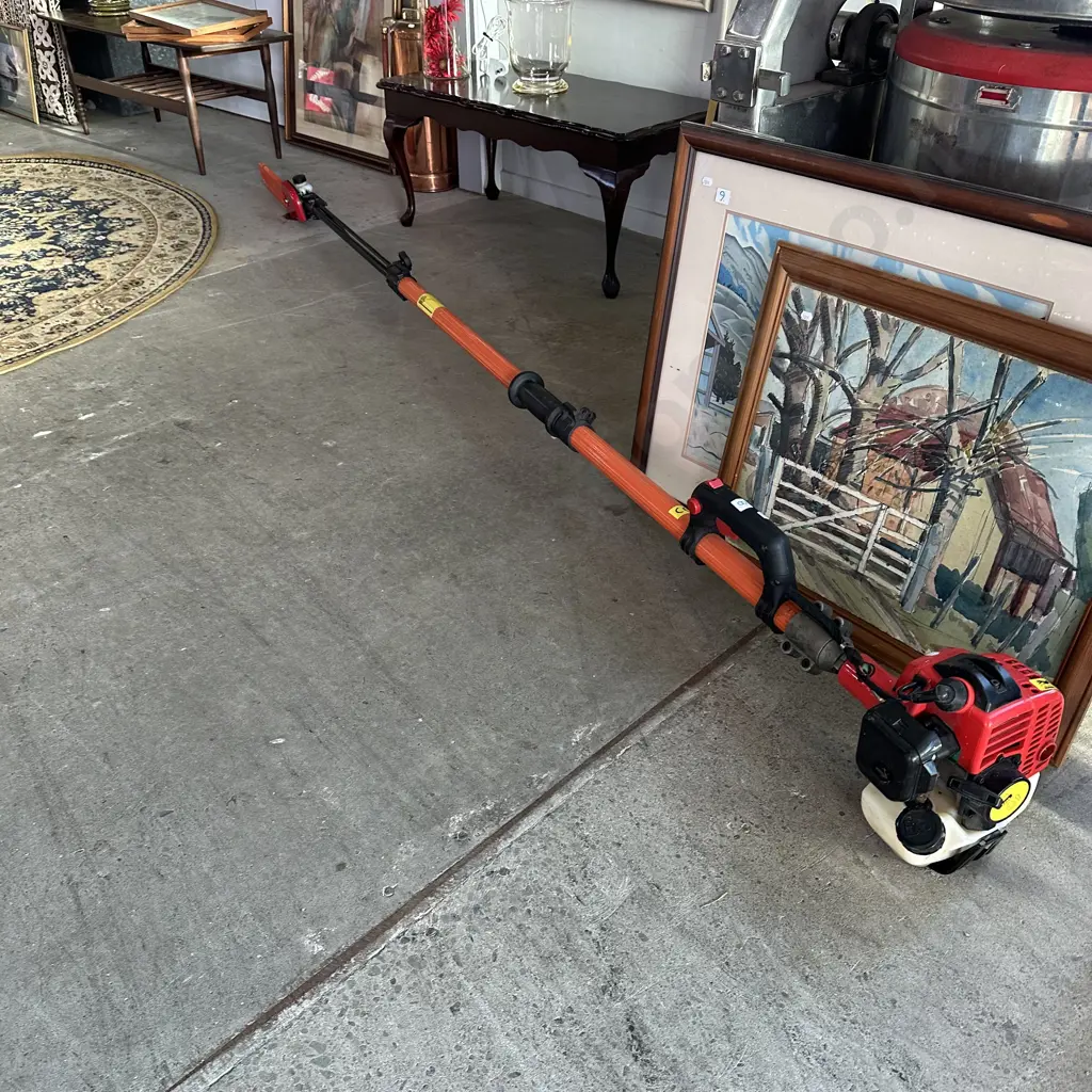 Pole petrol trimmer- working Image 1++