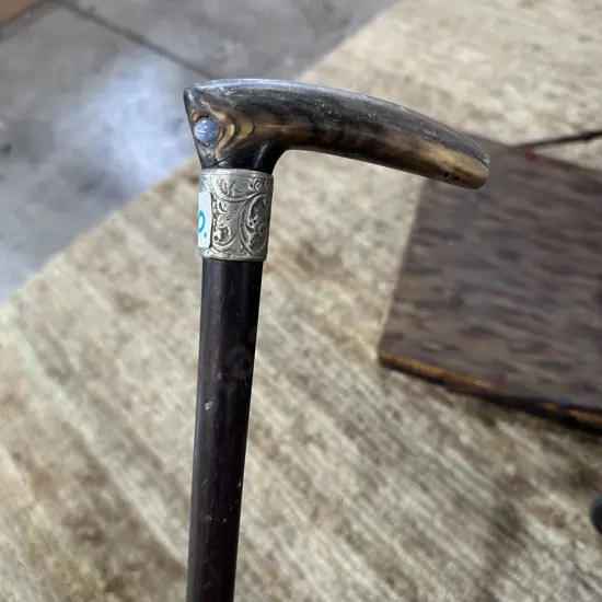 Walking stick