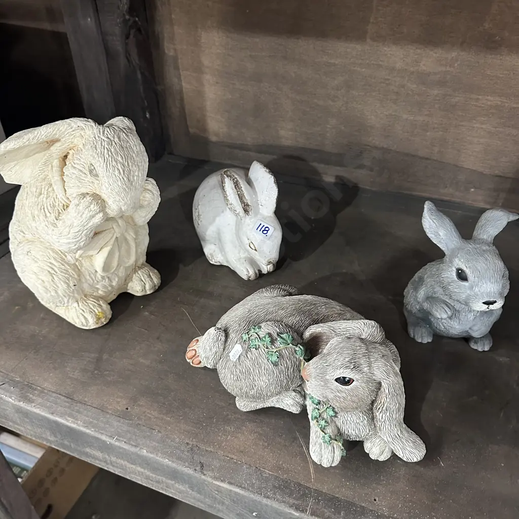 Rabbits Image 1++