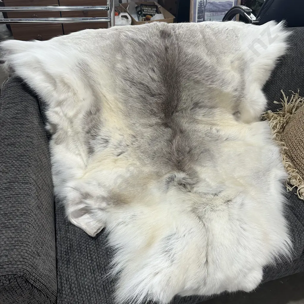 Raindeer hide rug Image 1++