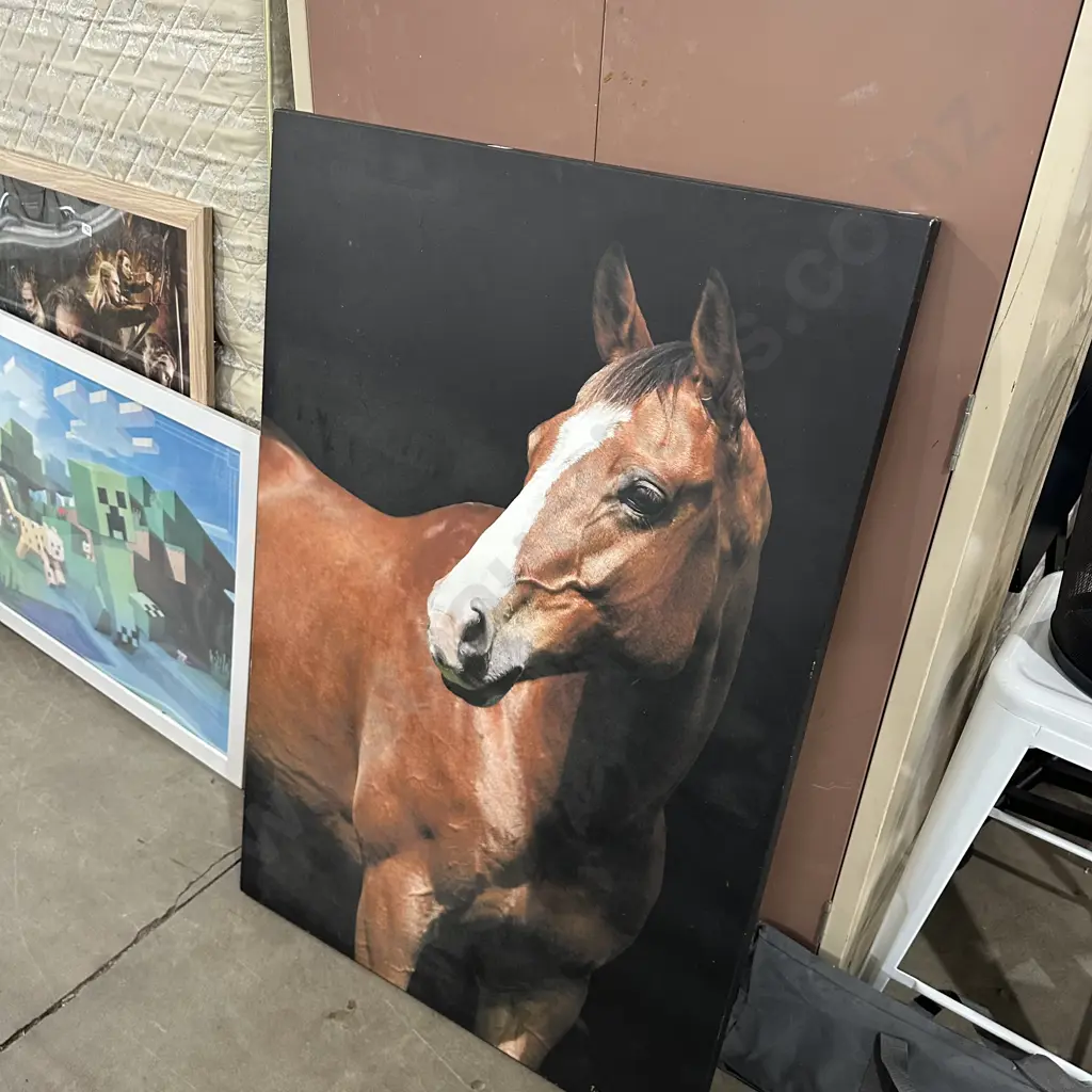 Horse picture Image 1++