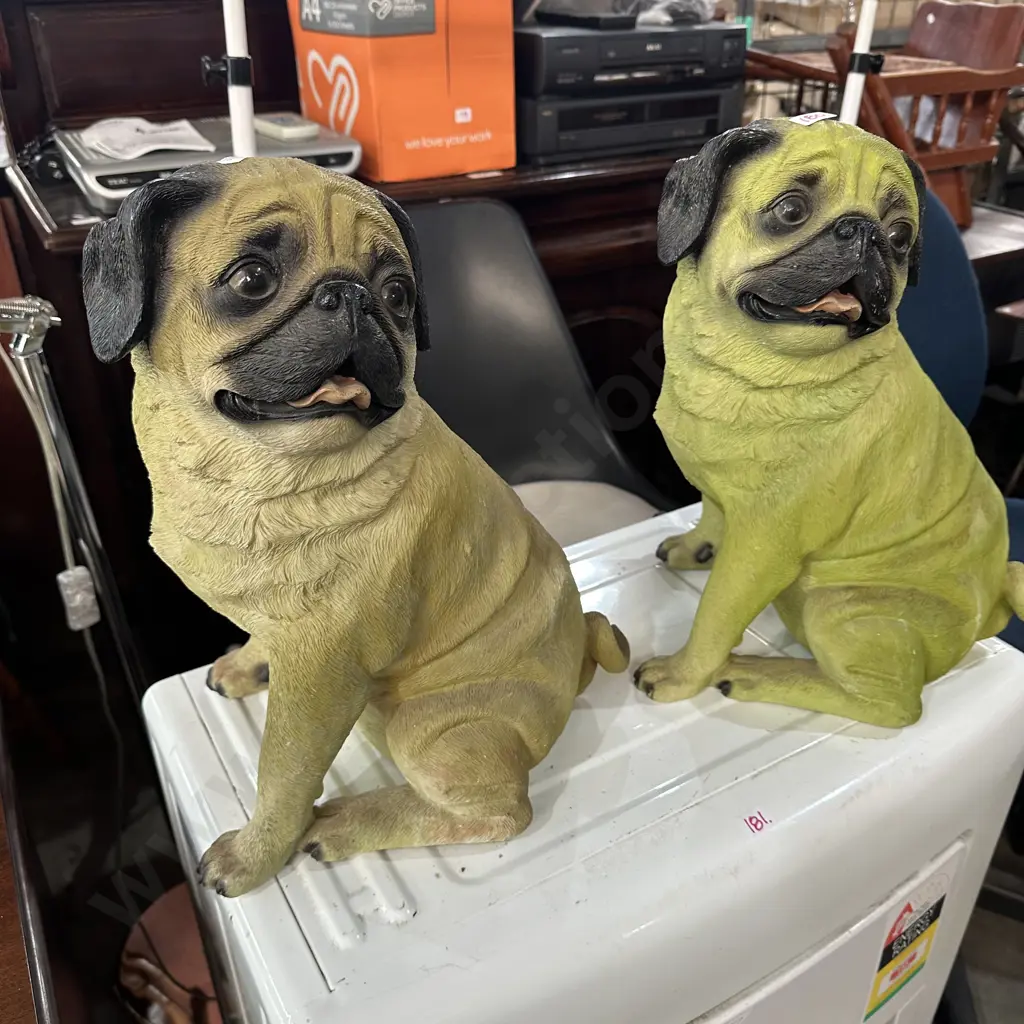 Pr Pug dogs Image 1++