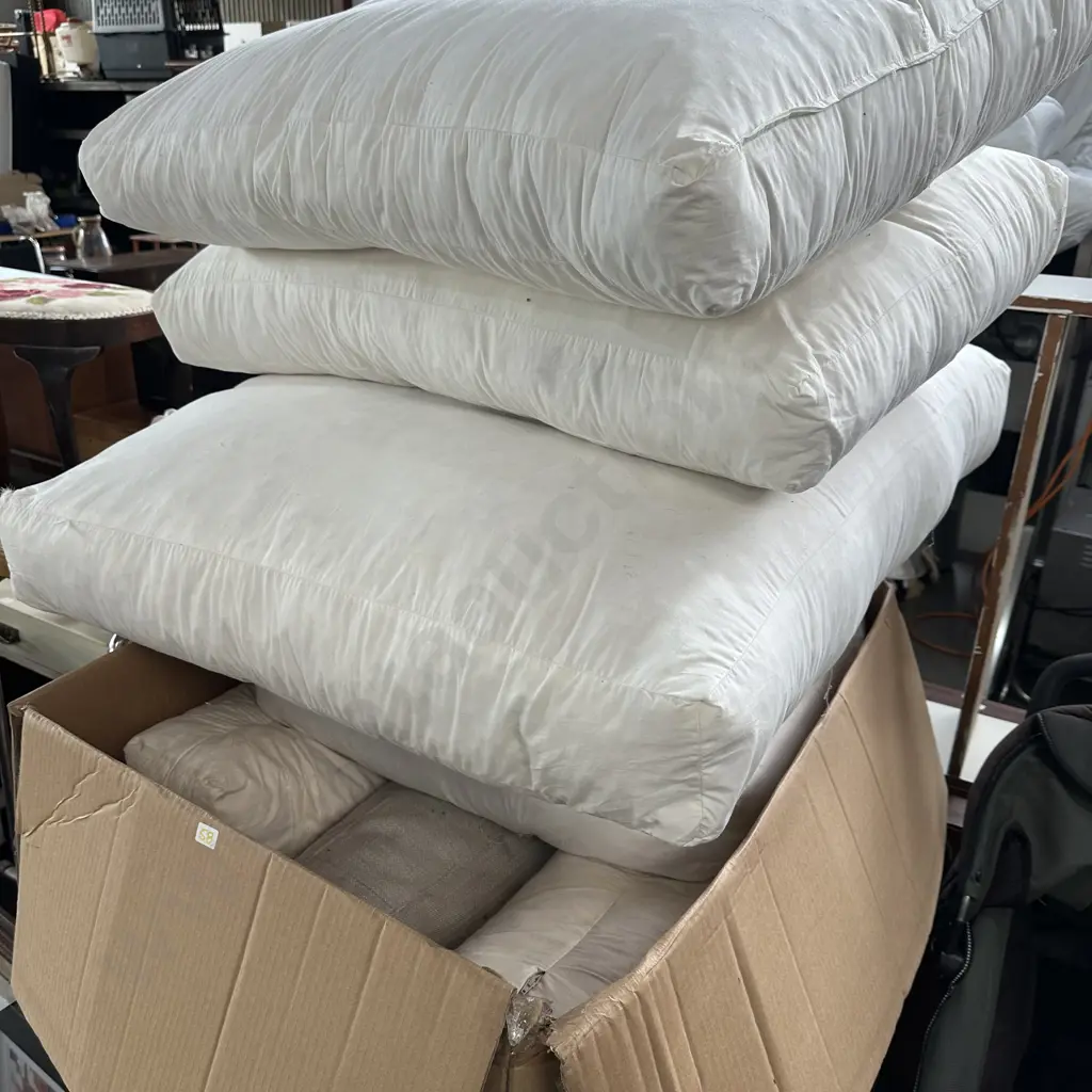 Large lot of big feather cushions Image 1++