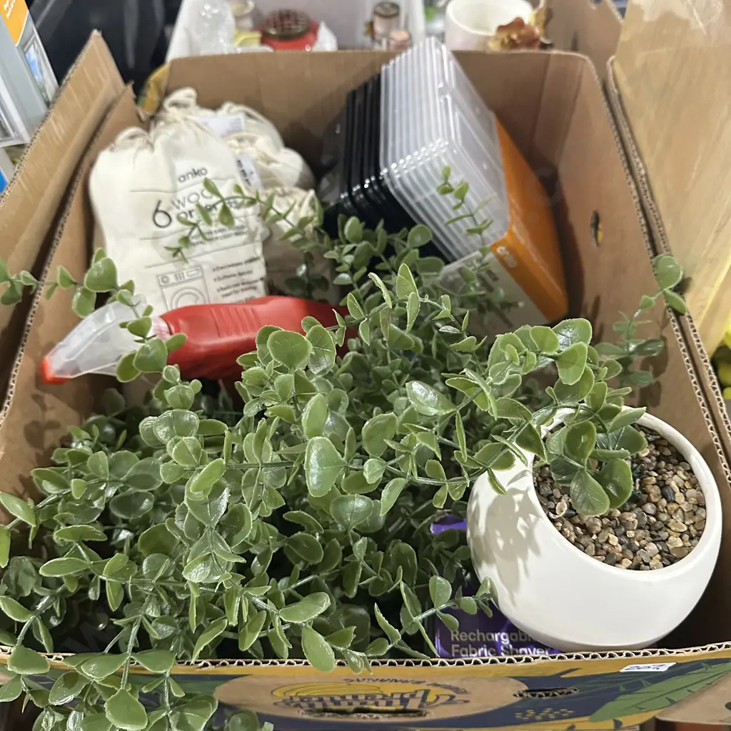5 pots with fake creeper, wool balls, carpet cleaner etc Image 1++