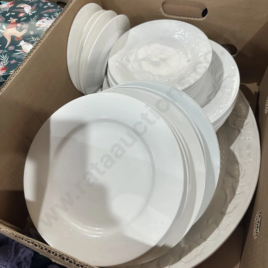 Dinnerware and Platter Image 1++