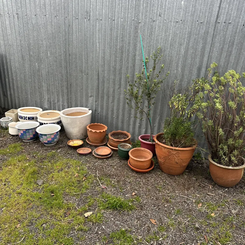 large lot of planters Image 1++