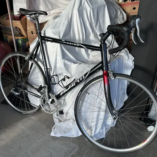 Avanti road bike
