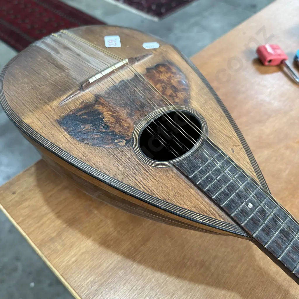 Early mandolin Image 1++
