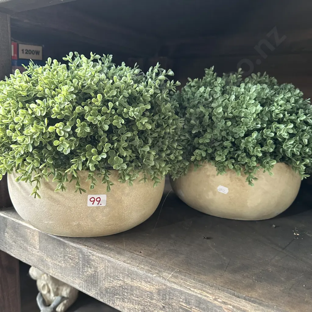 2 x fake plants Image 1++