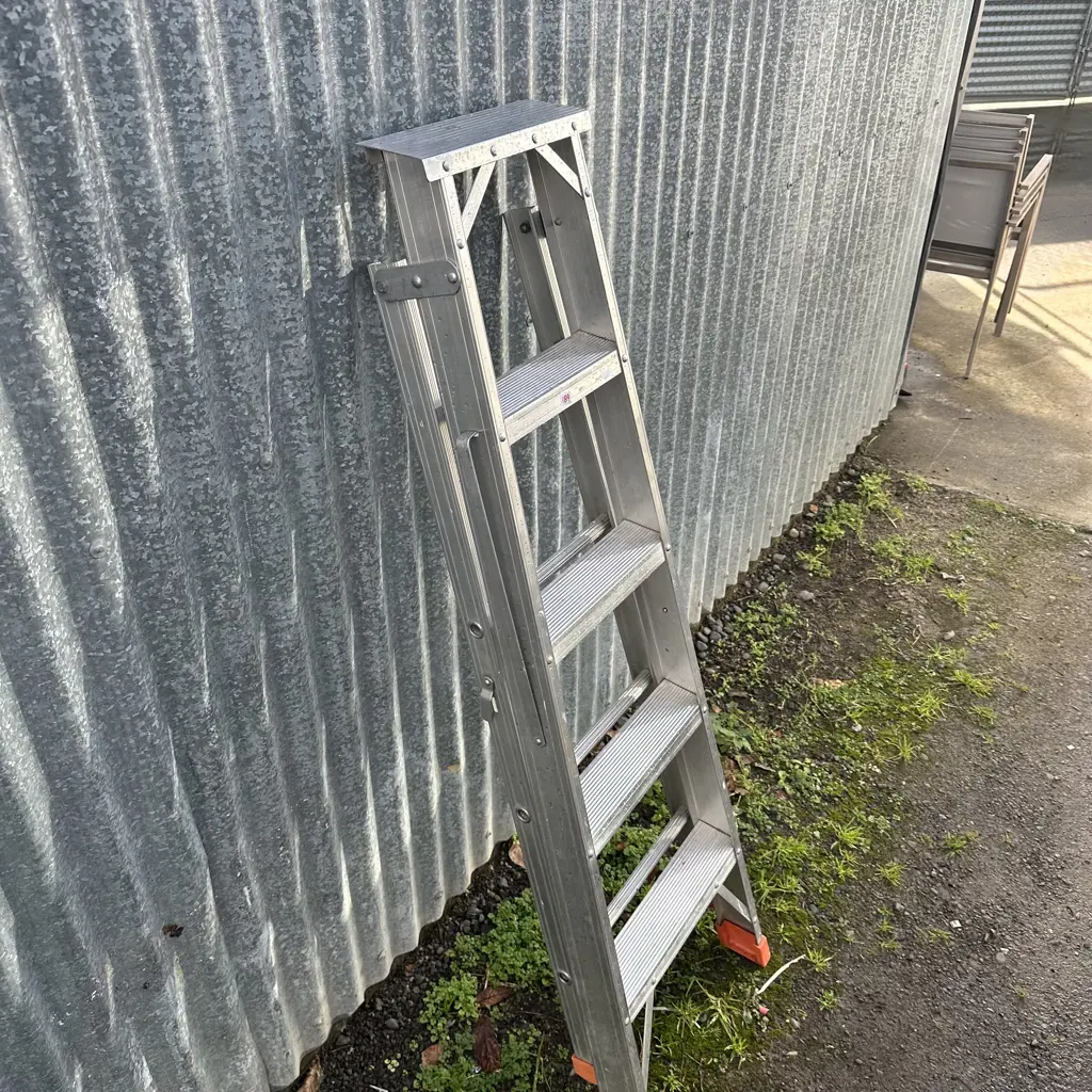5 foot ladder Image 1++