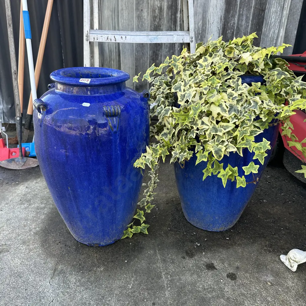 Pr Blue planters with creeper Image 1++