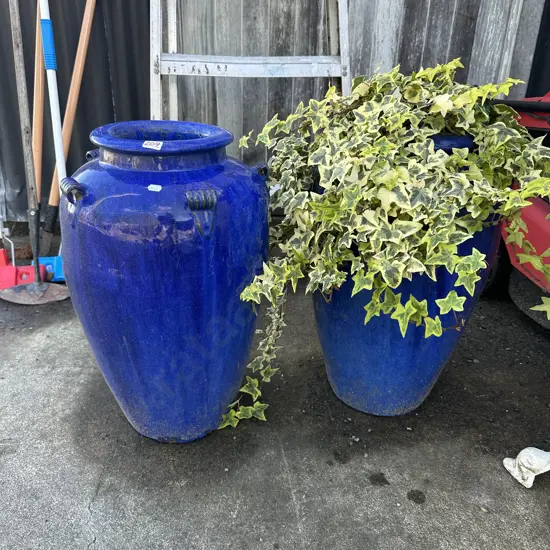 Pr Blue planters with creeper
