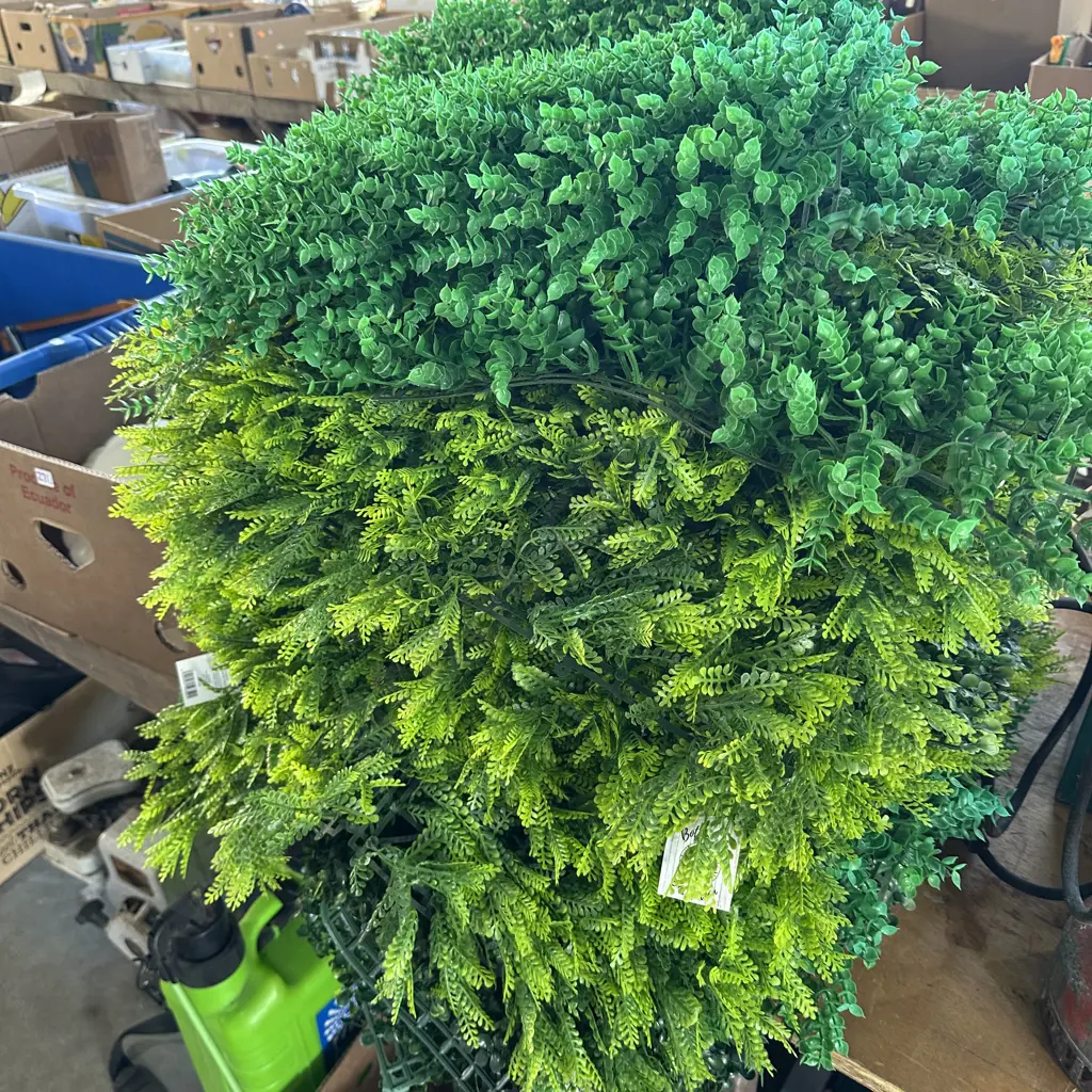 Green matting Image 1++