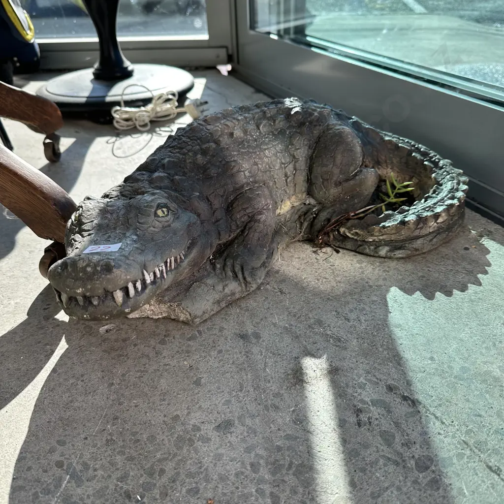 Concrete crocodile Image 1++