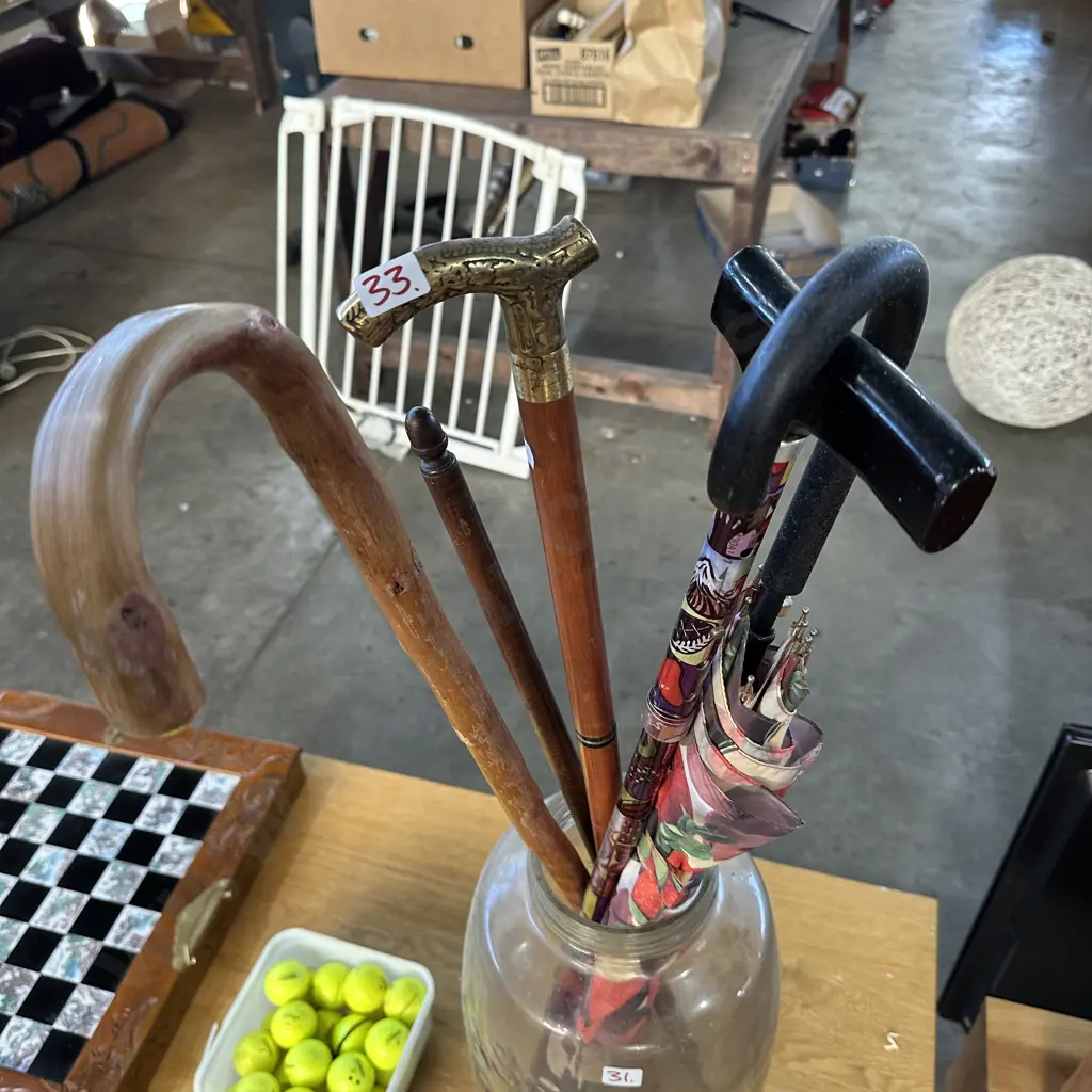 Walking sticks Image 1++