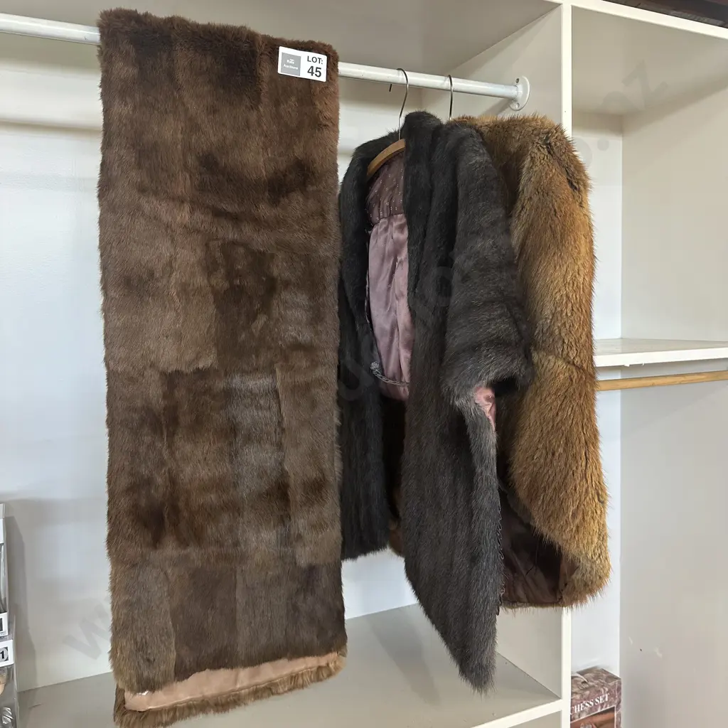 Furs Image 1++