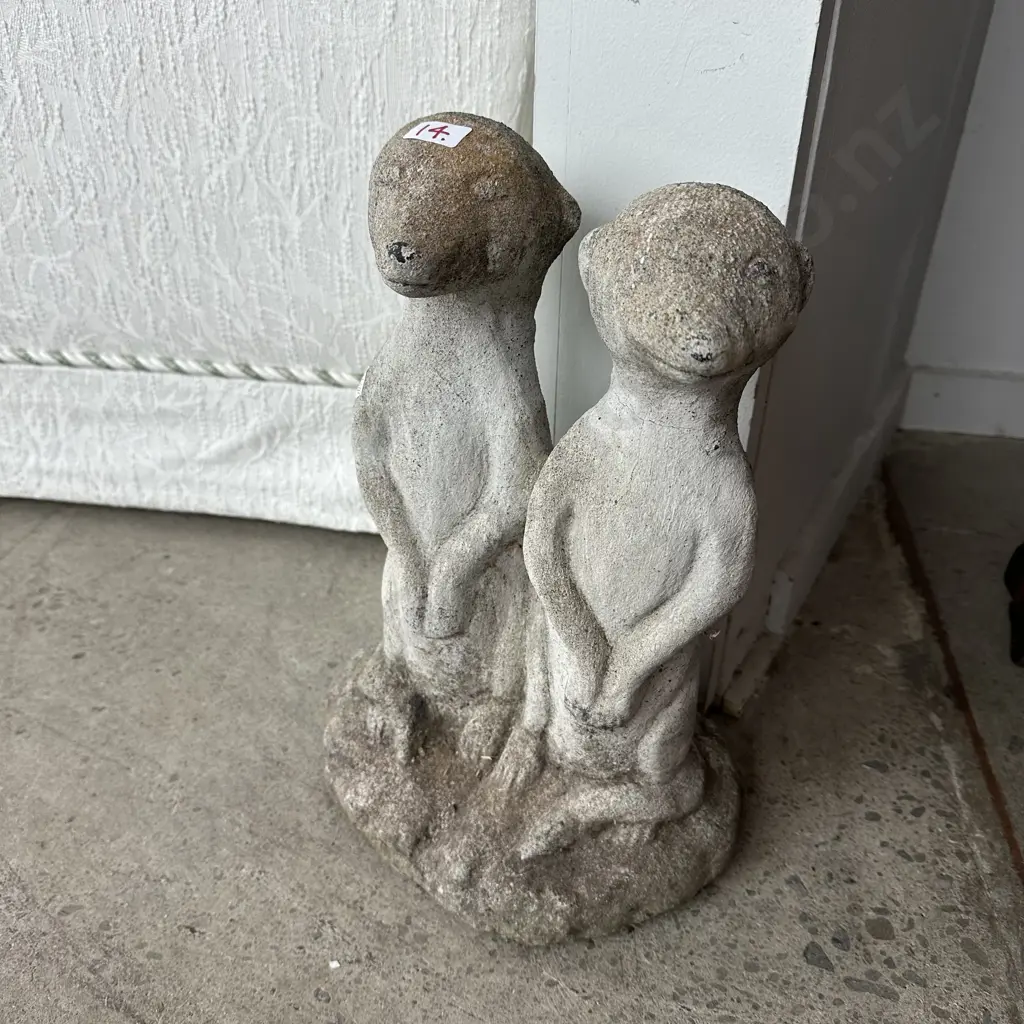 Meer cats 350mm Image 1++