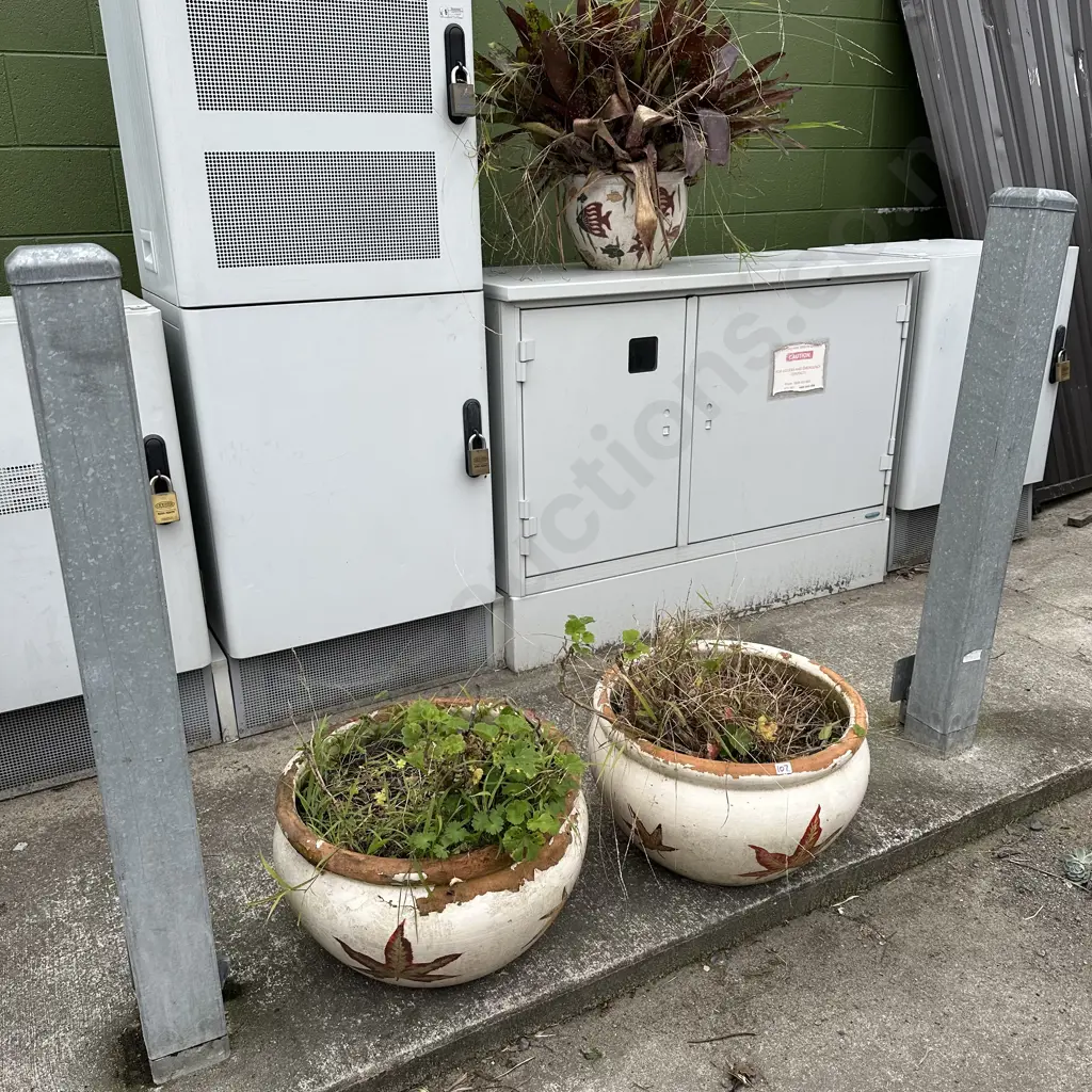 3 potted plants Image 1++