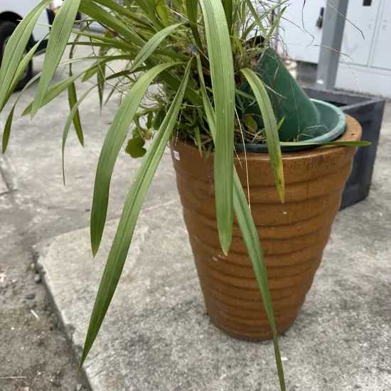 tall planter