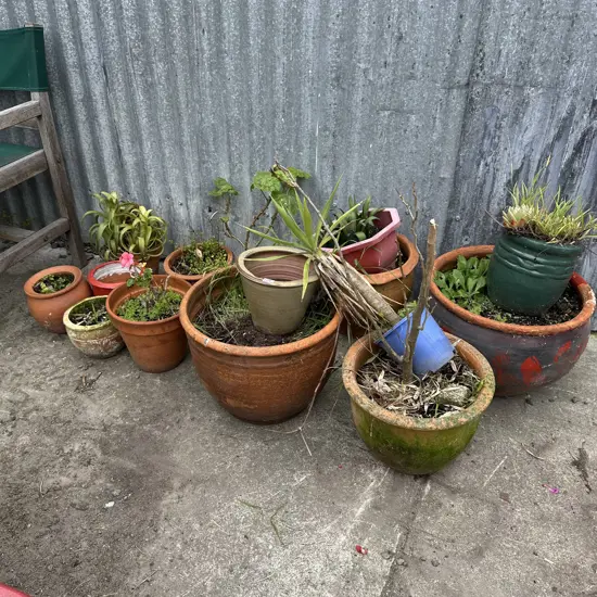 selection planters