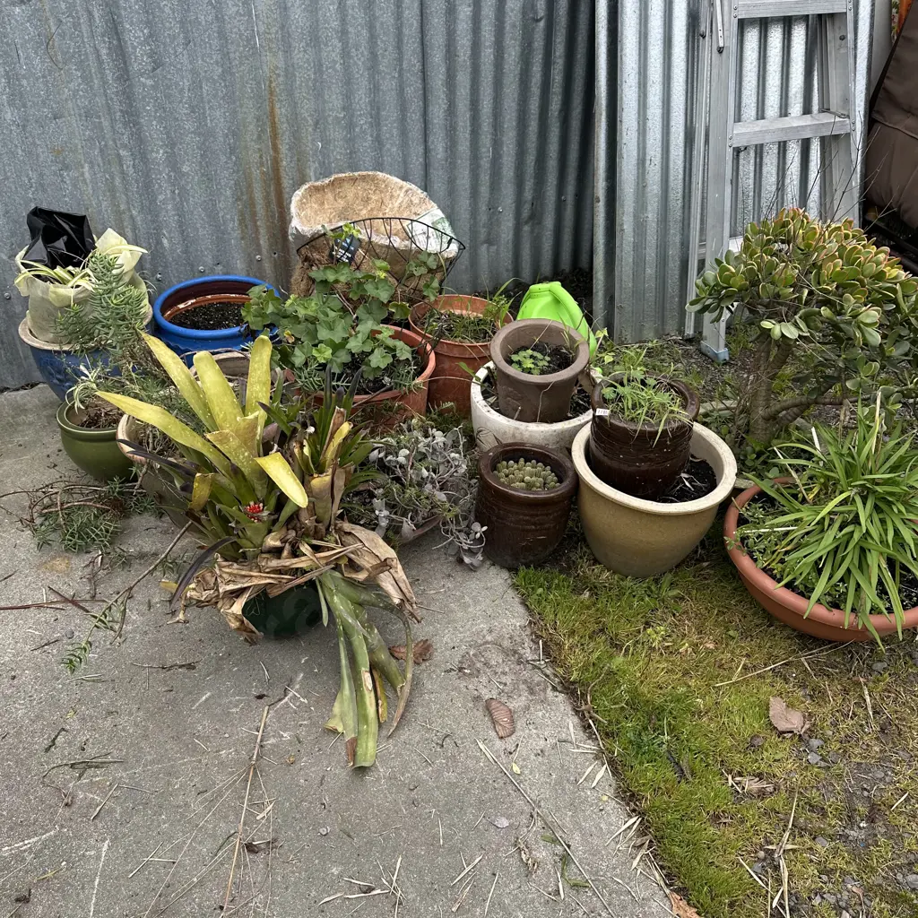 large selection planters Image 1++