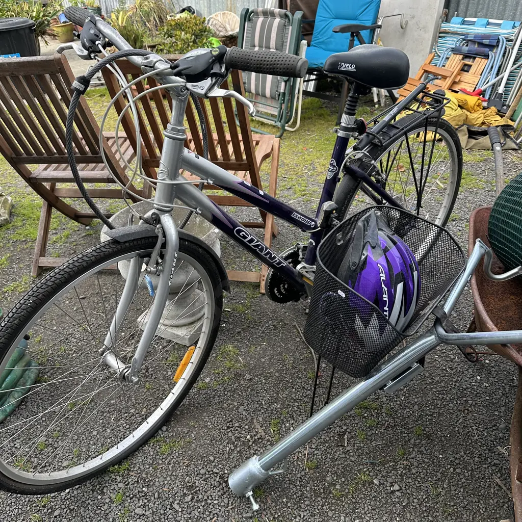 Bike, basket and rack Image 1++