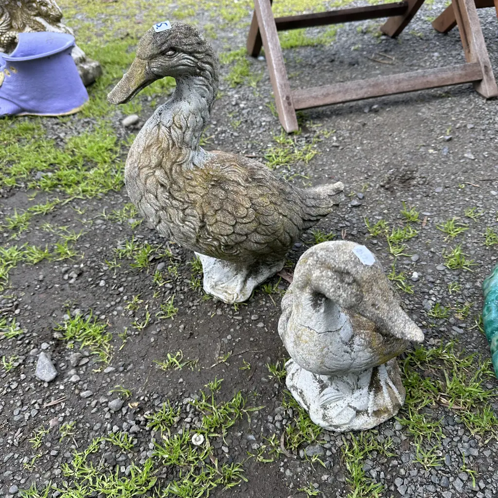Pr concrete ducks Image 1++