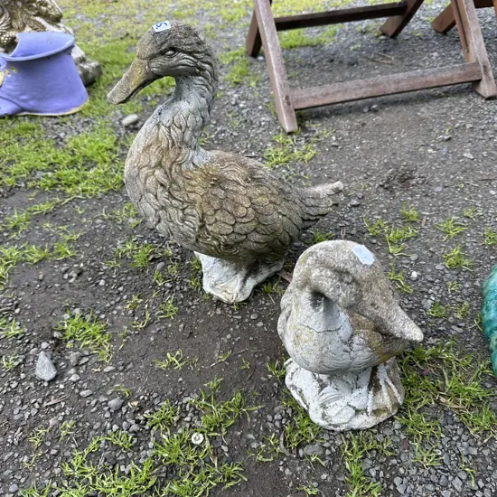 Pr concrete ducks