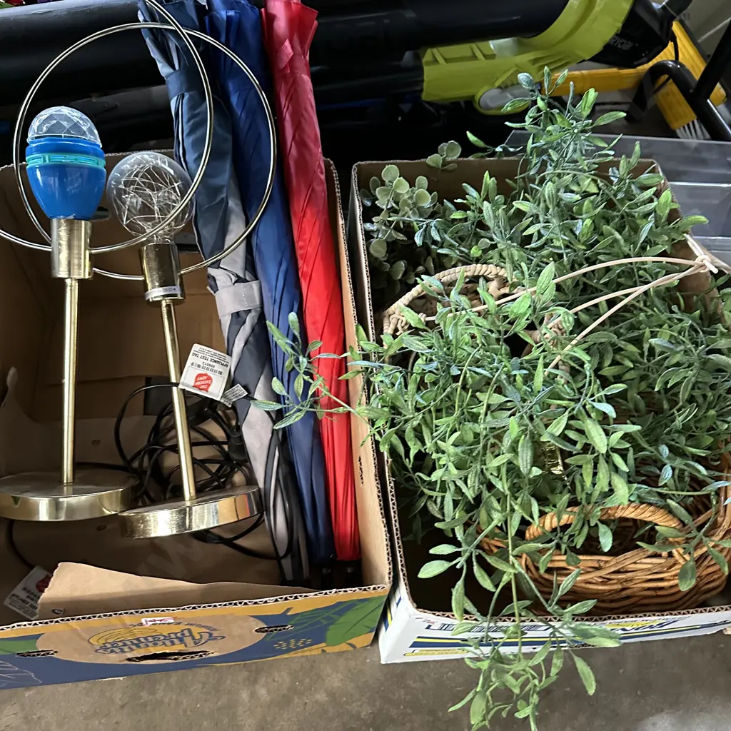 2 box umberllas, lamps, plants Image 1++